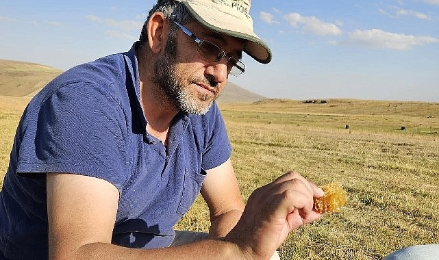 Kafkas Arısı Tehdit Altında: Acil Önlemler Şart
